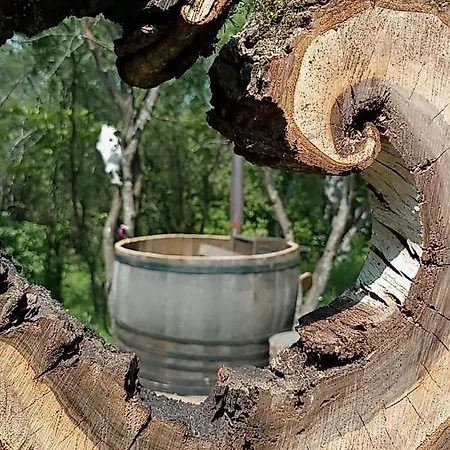 Hidden Garden Chidea Camping *